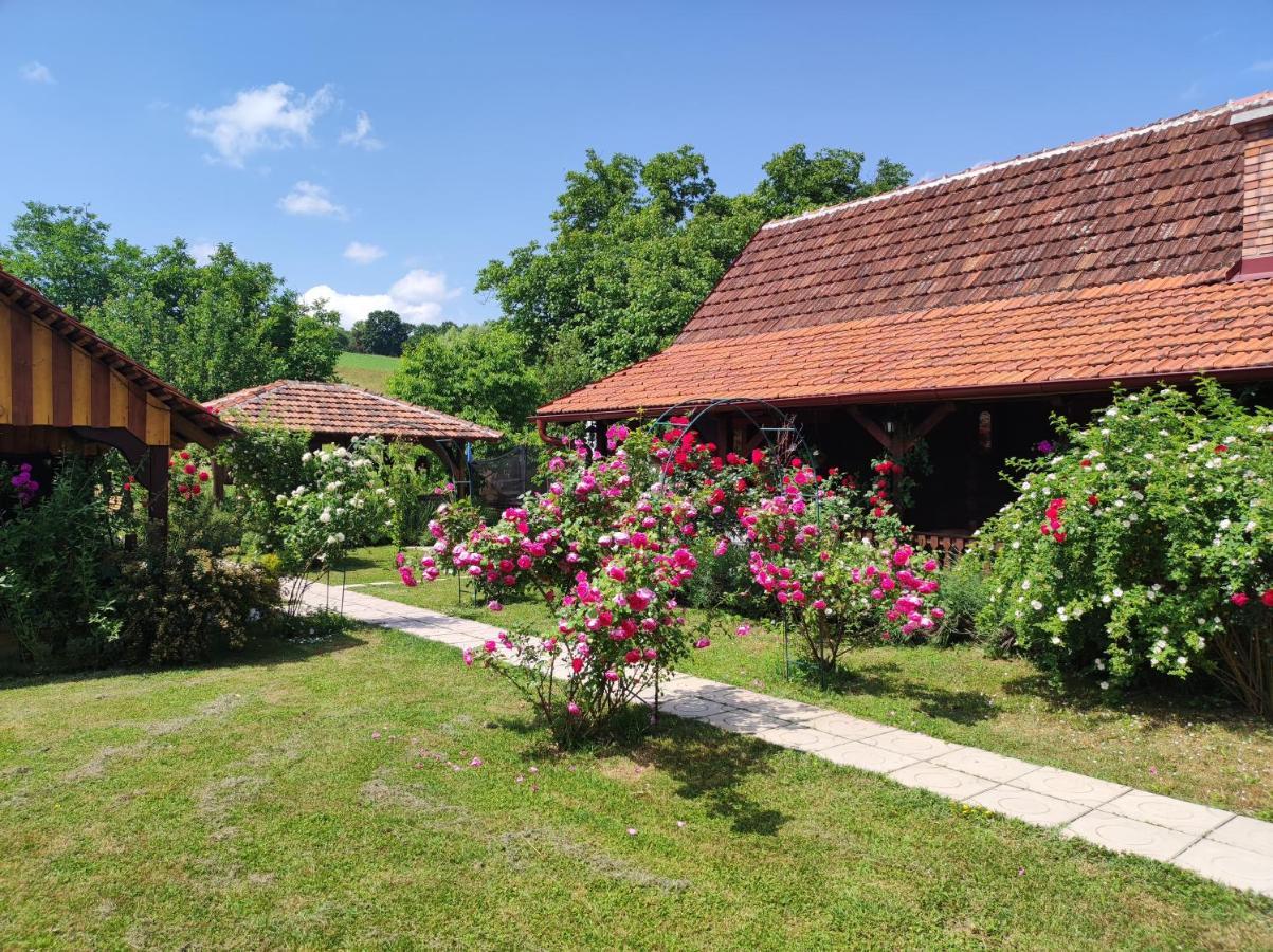 Pod Orehom Drvena Kuca I Sauna Krapina Exterior photo